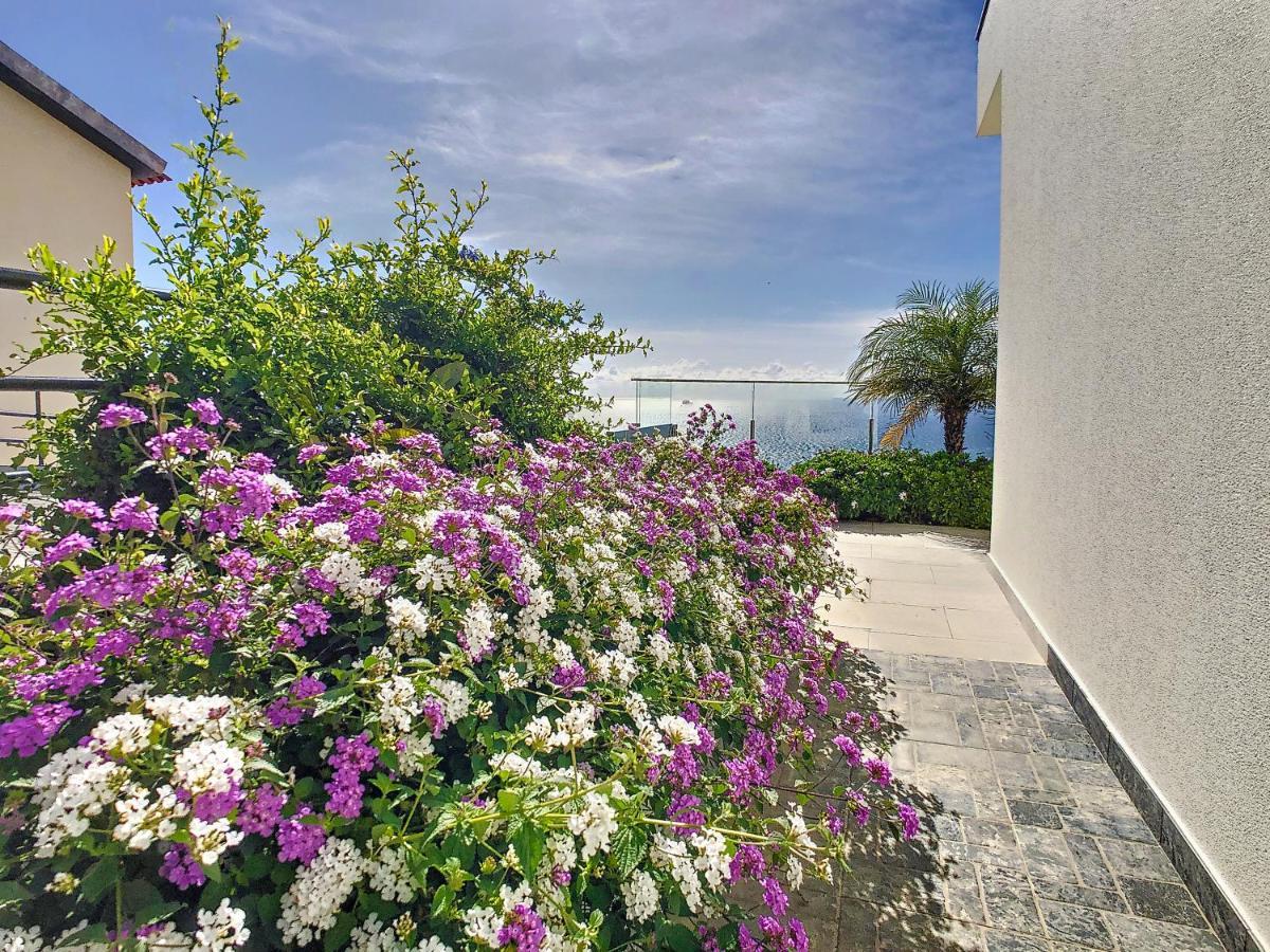 Francelho 2 Aparment By Mhm Apartment Ribeira Brava