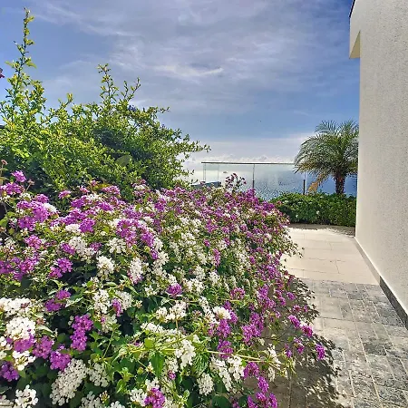 Francelho 2 Aparment By Mhm Apartment Ribeira Brava Exterior photo